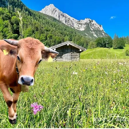 20 - Fewo Bergtraumblick *